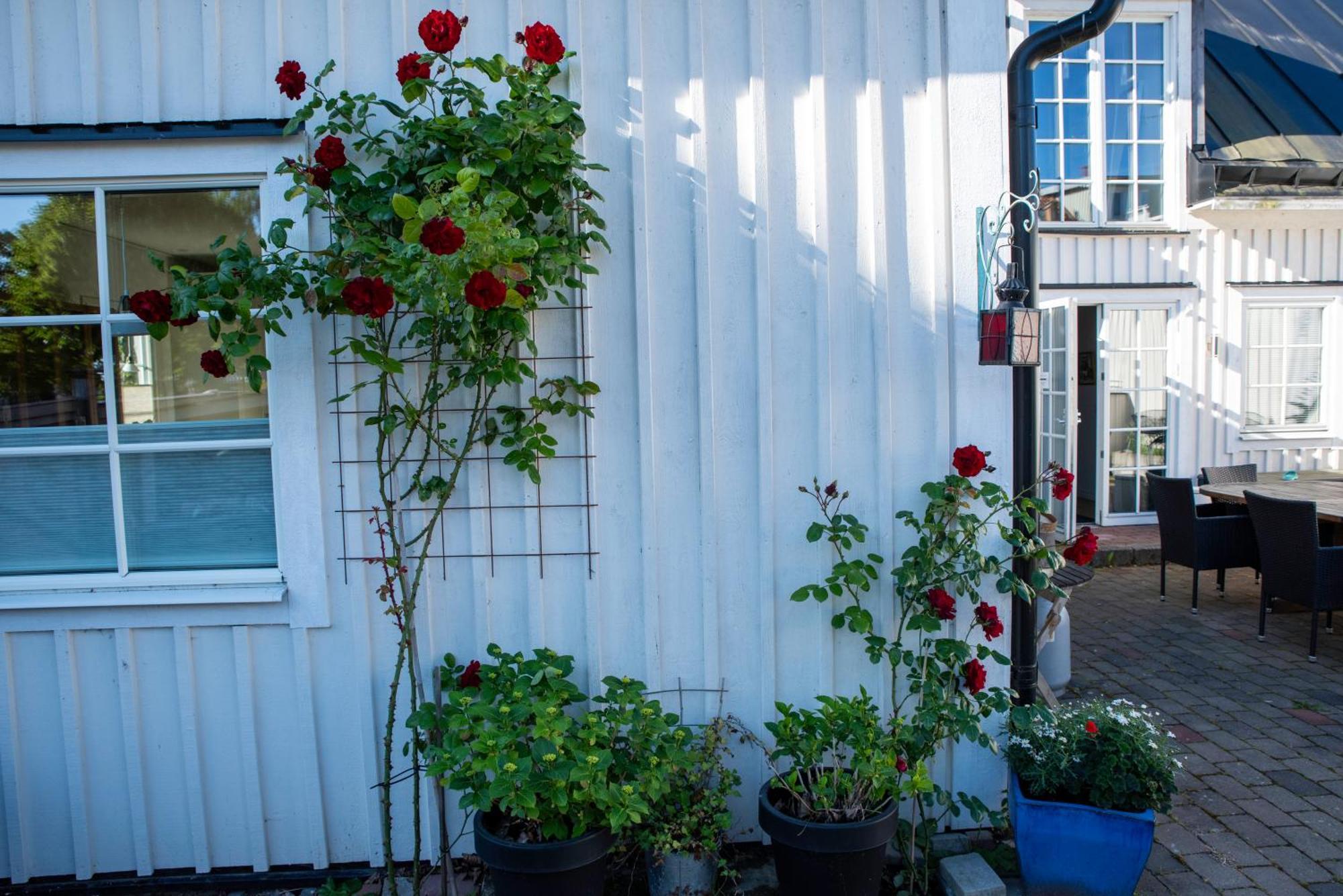 Guest House Tullgatan 24 Borgholm Exterior foto